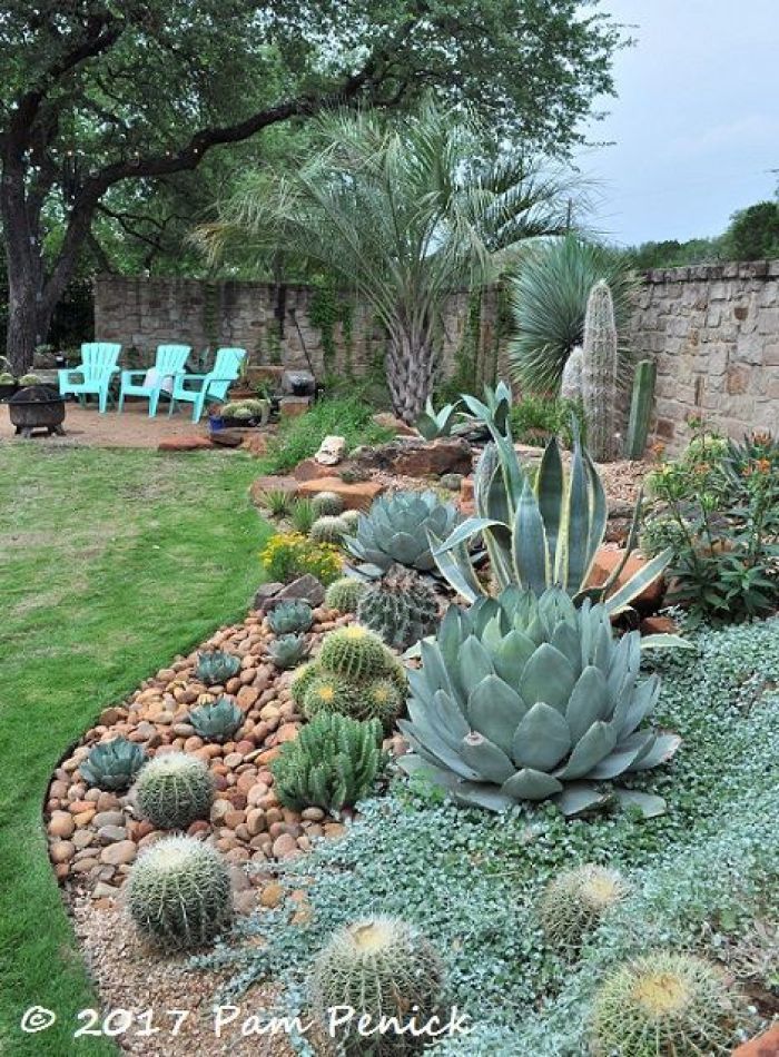 Beautiful Cactus Garden Ideas