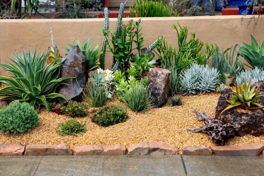 Beautiful Cactus Landscaping Ideas