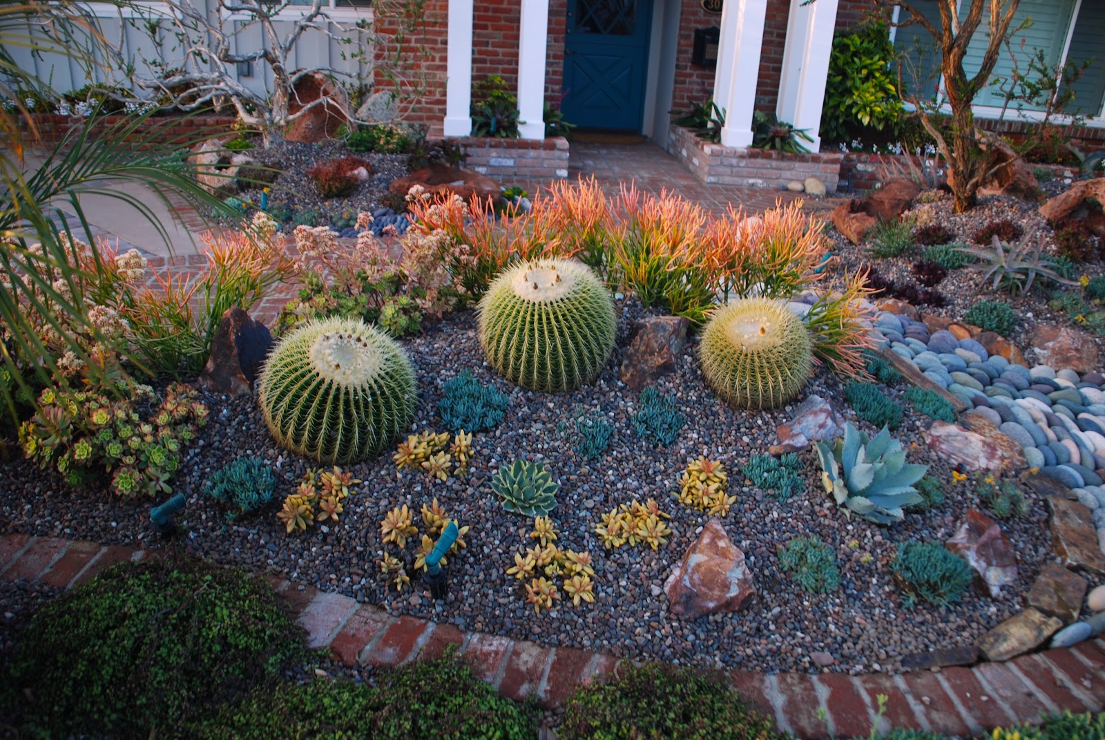 Cactus Gardens