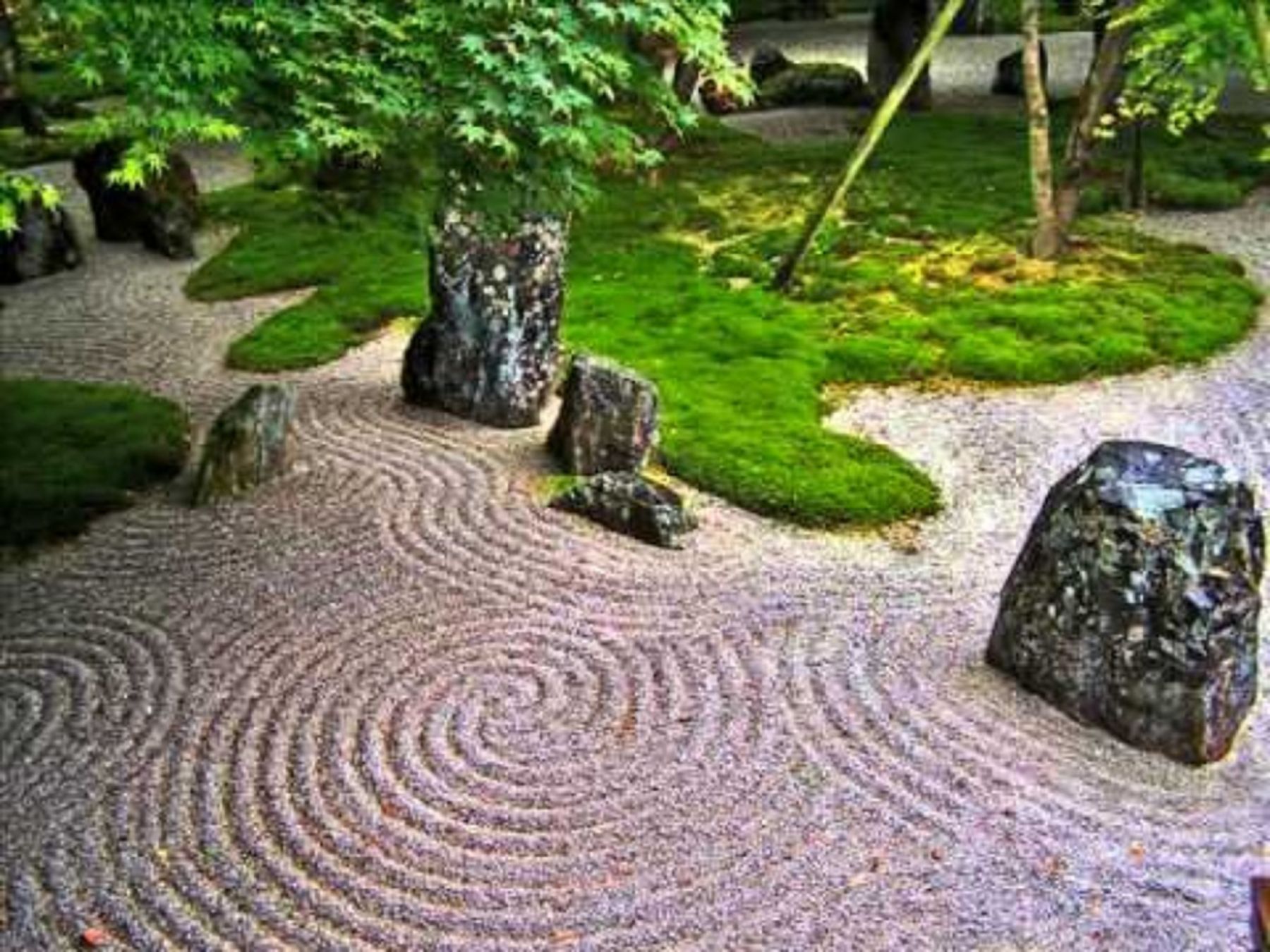 Japanese Rock Garden