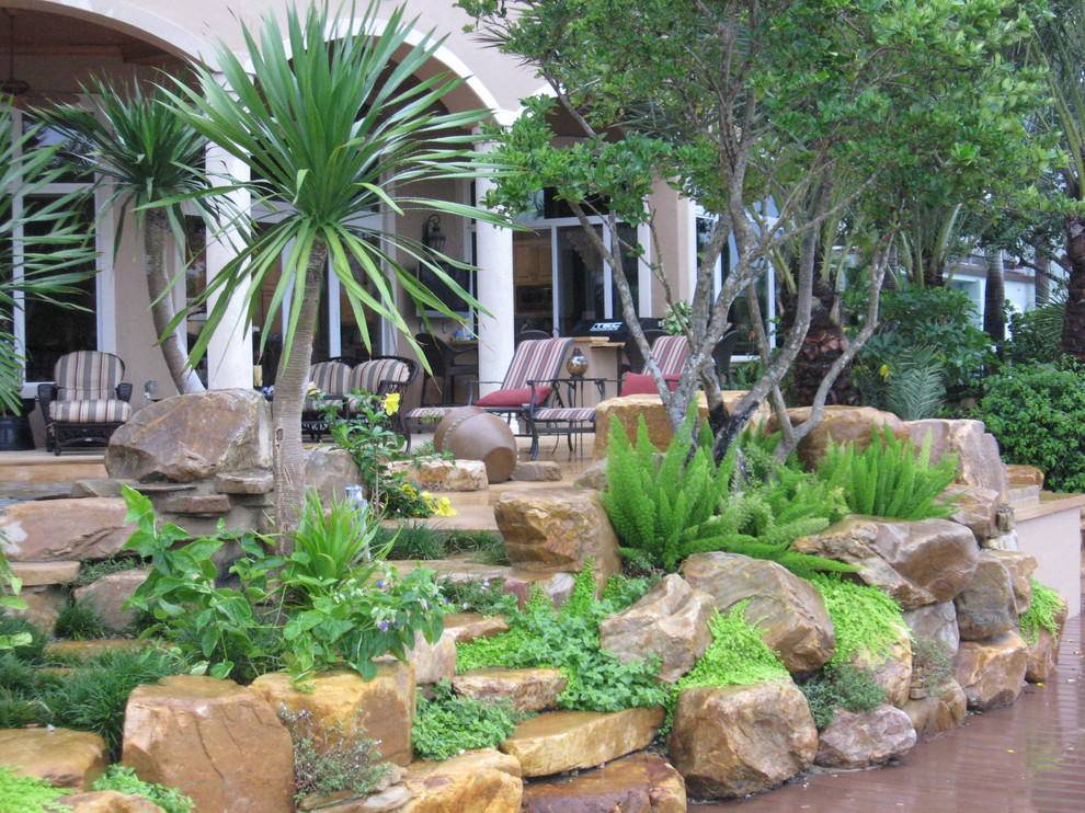 Images Florida Landscaping Bromeliads Fresh Air Forum Gardening