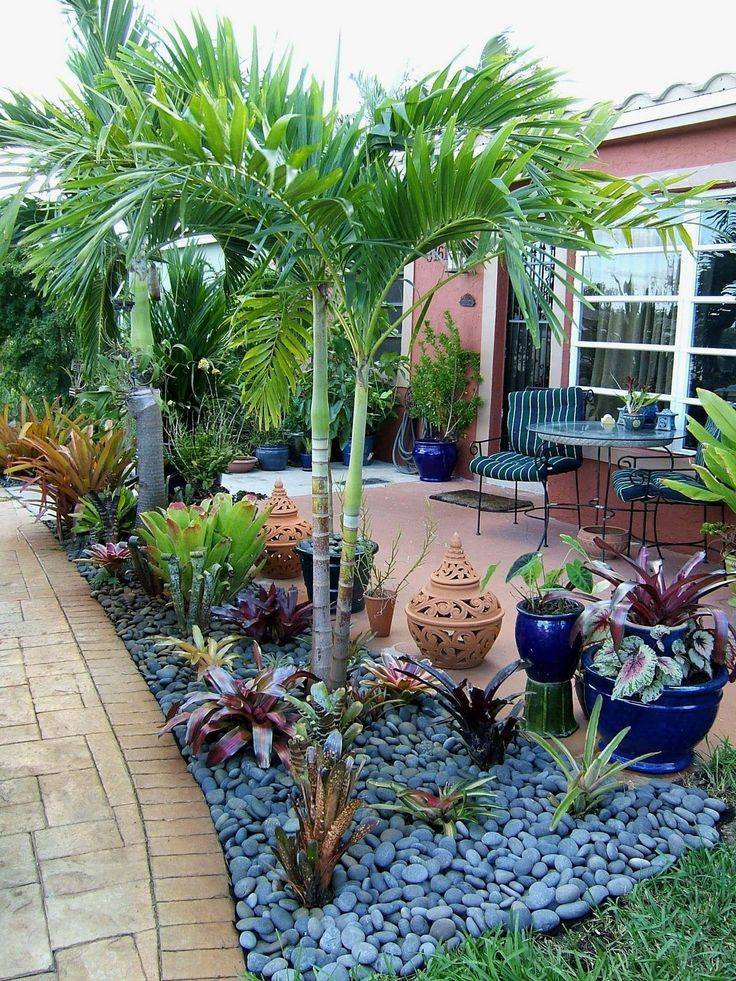 Tropical Plantings