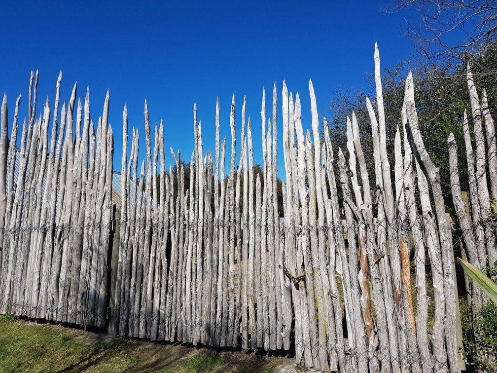 Wooden Sculpture