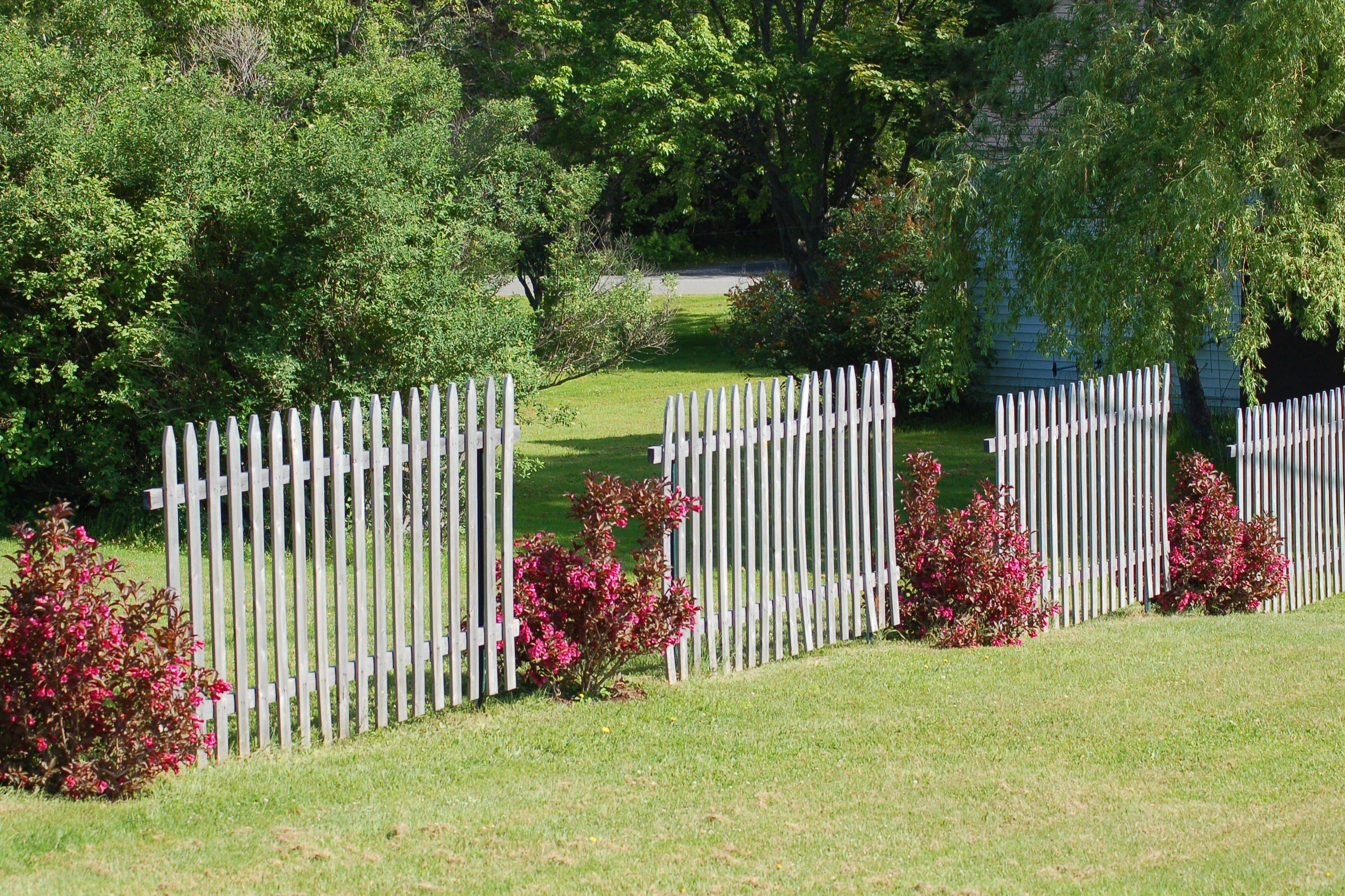 Easy And Cheap Backyard Fence Design Ideas Part