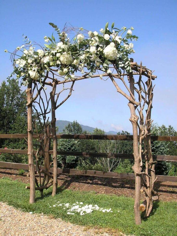 Branch Trellises