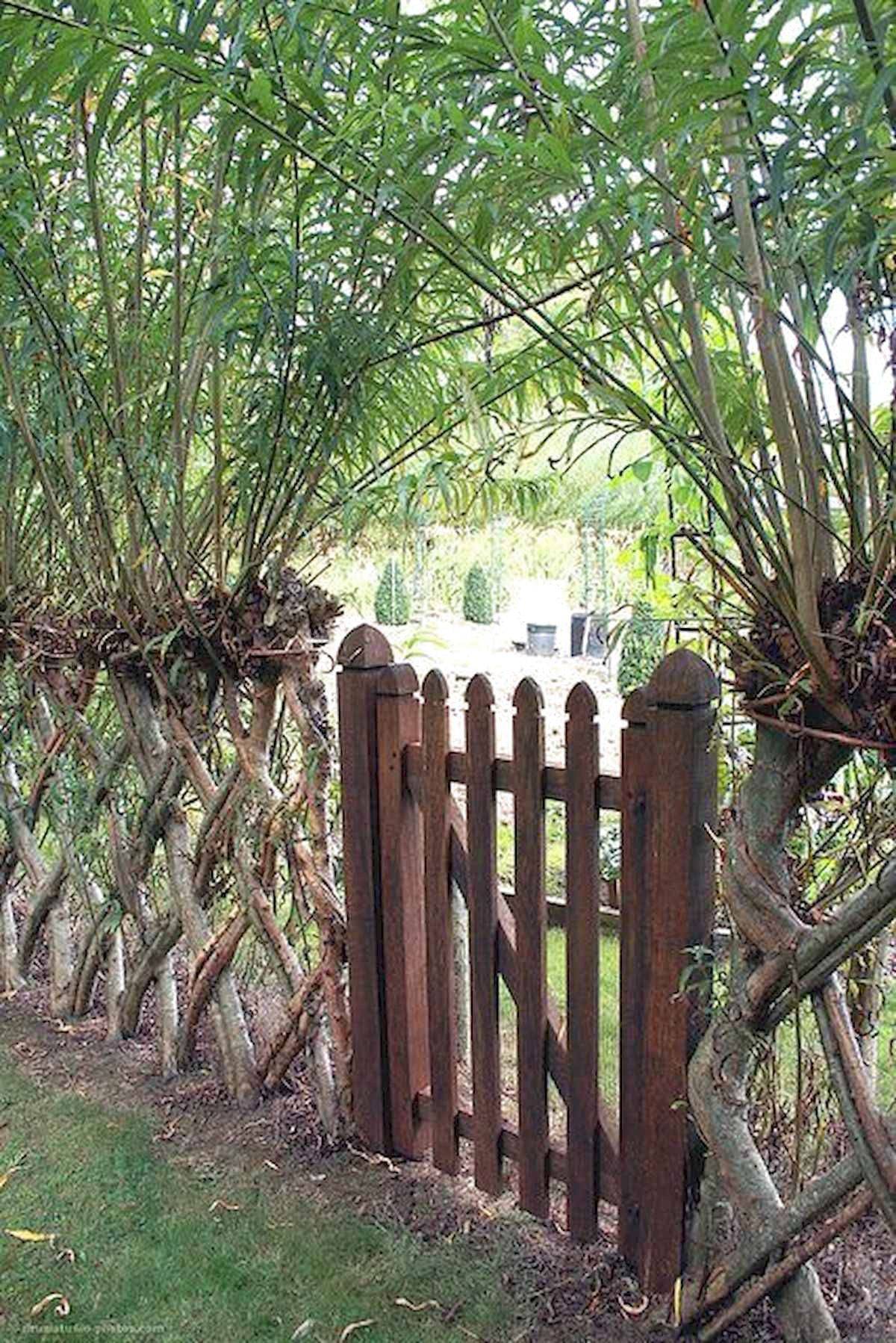 Beautiful Garden Gate Ideas