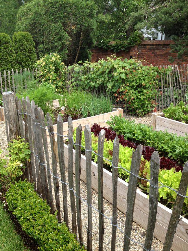 Diy Garden Fence Ideas