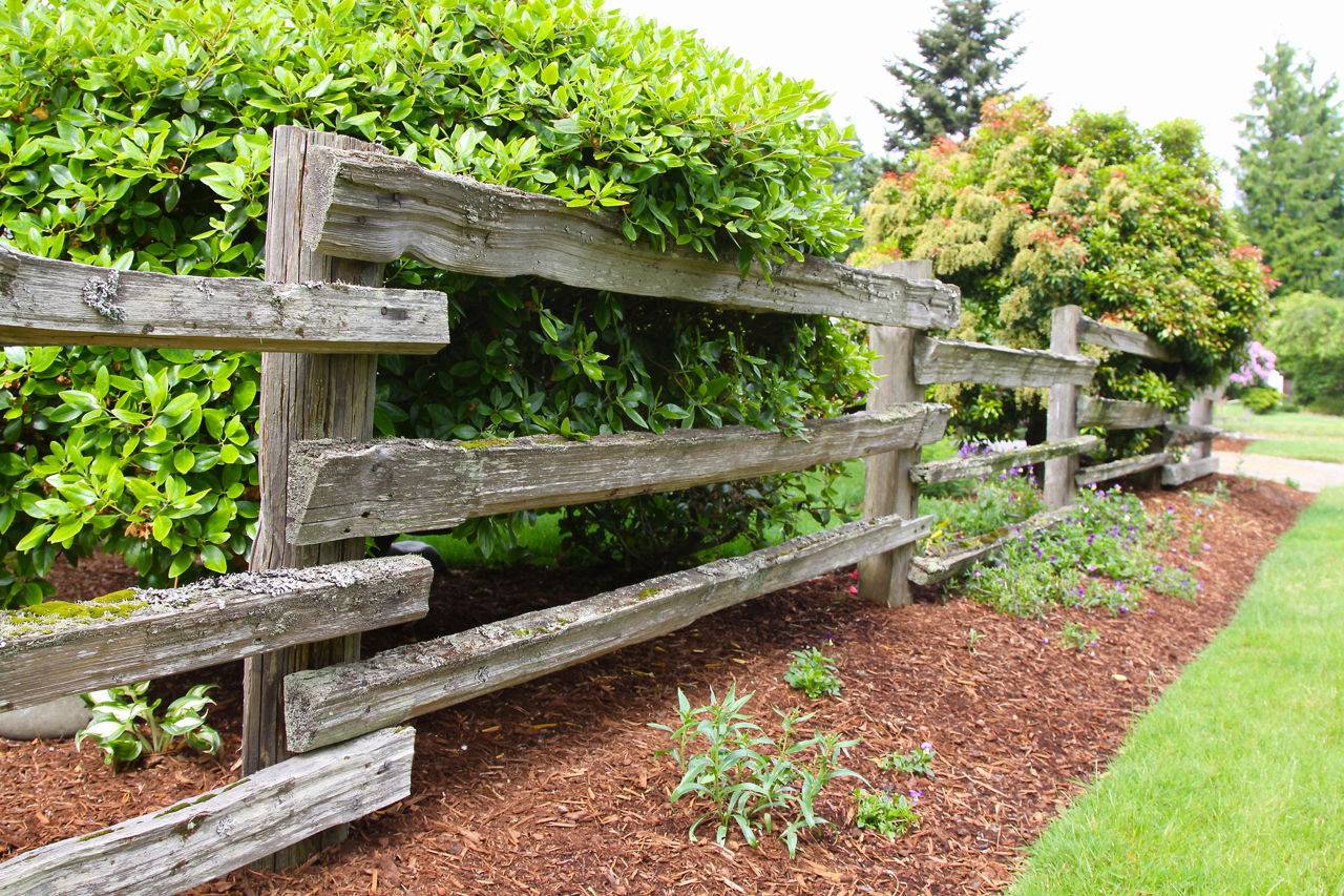 Rustic Garden Fence Ideas Photograph Rustic Fence