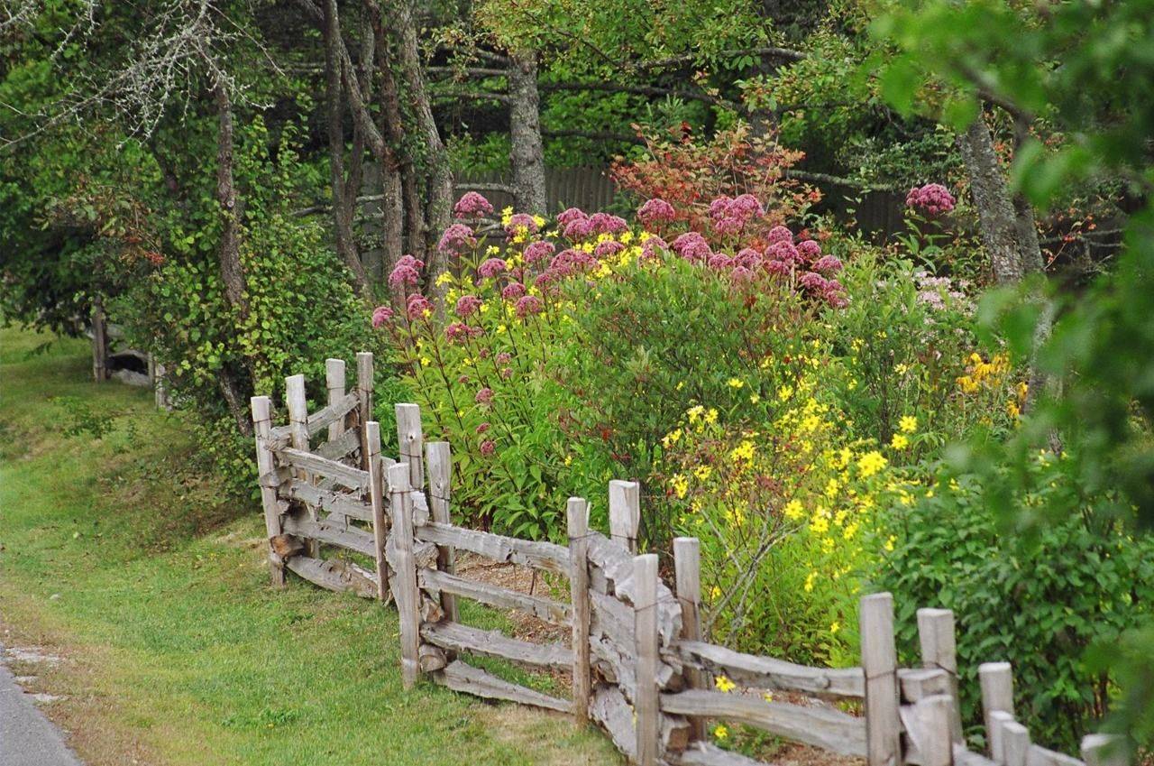 The Best Wood Fence Ideas Landscaping Inspiration Rustic Garden