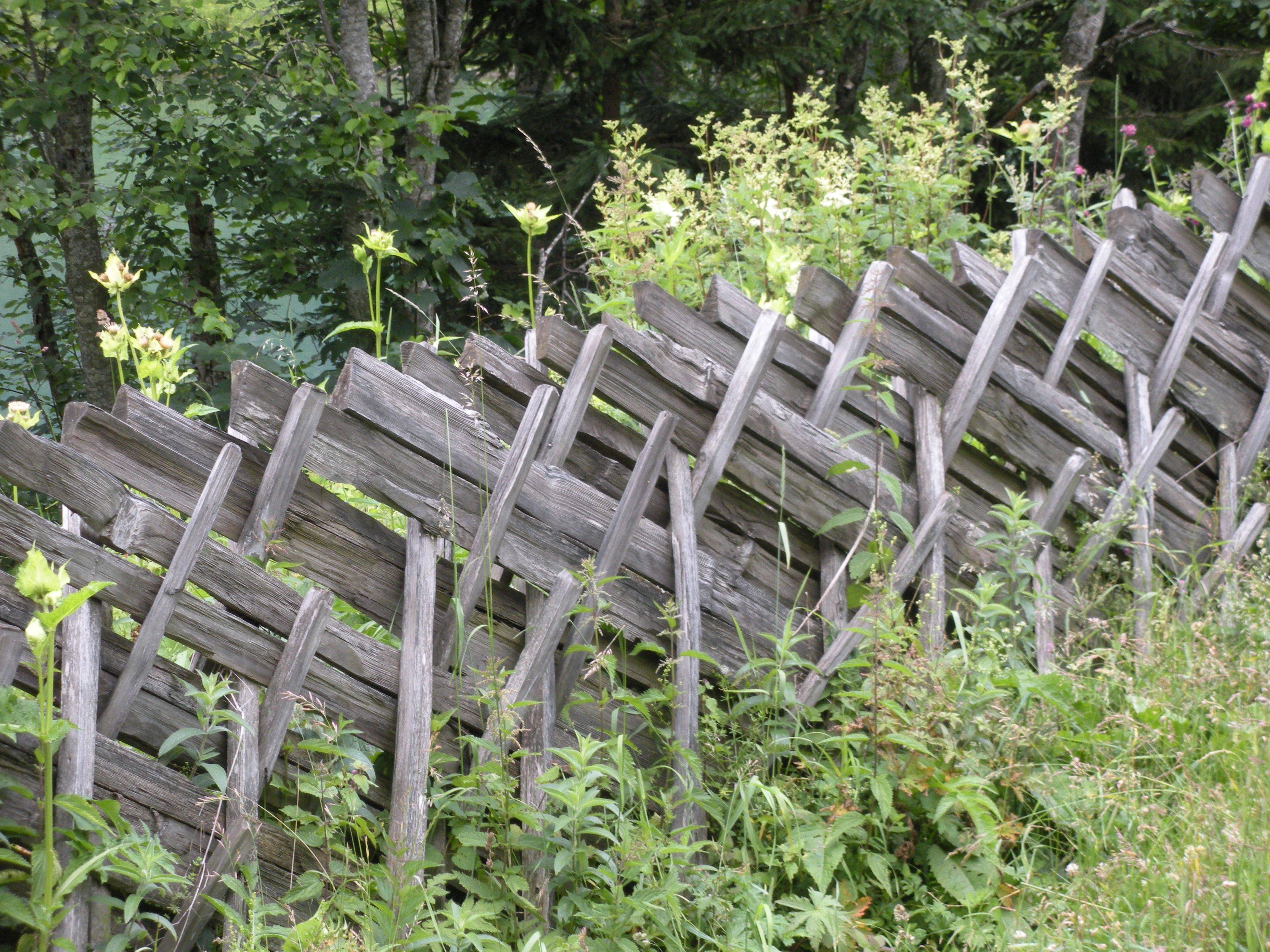 25 Rustic Garden Fencing Ideas For This Year SharonSable