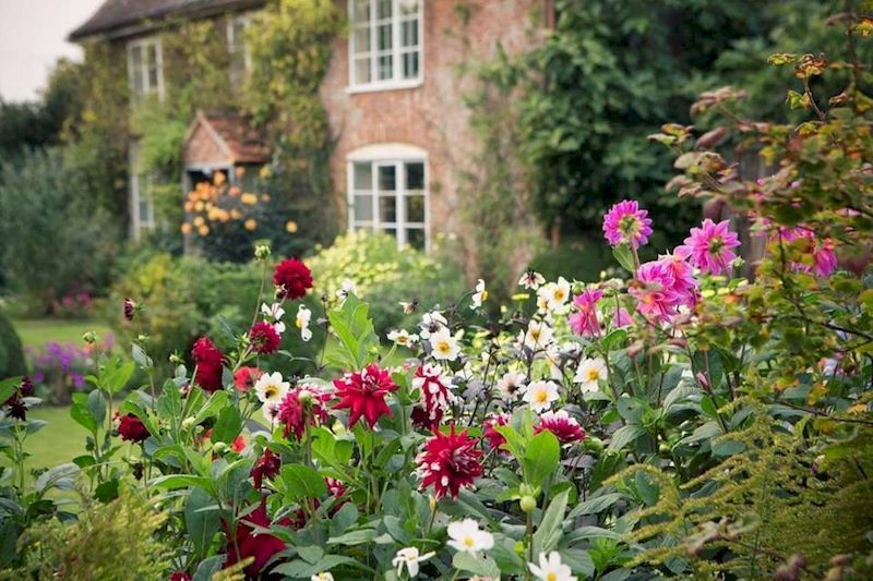 Front Landscaping