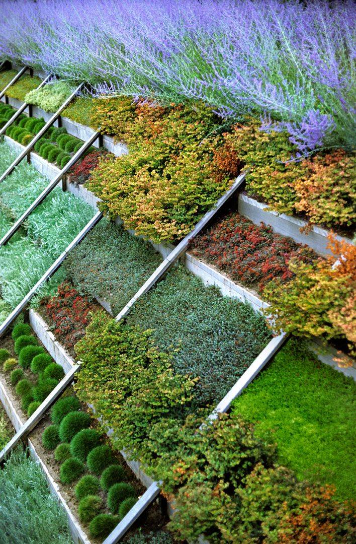 Terraced Landscape Patio Sloping Landscaping Sloped Backyard Budget