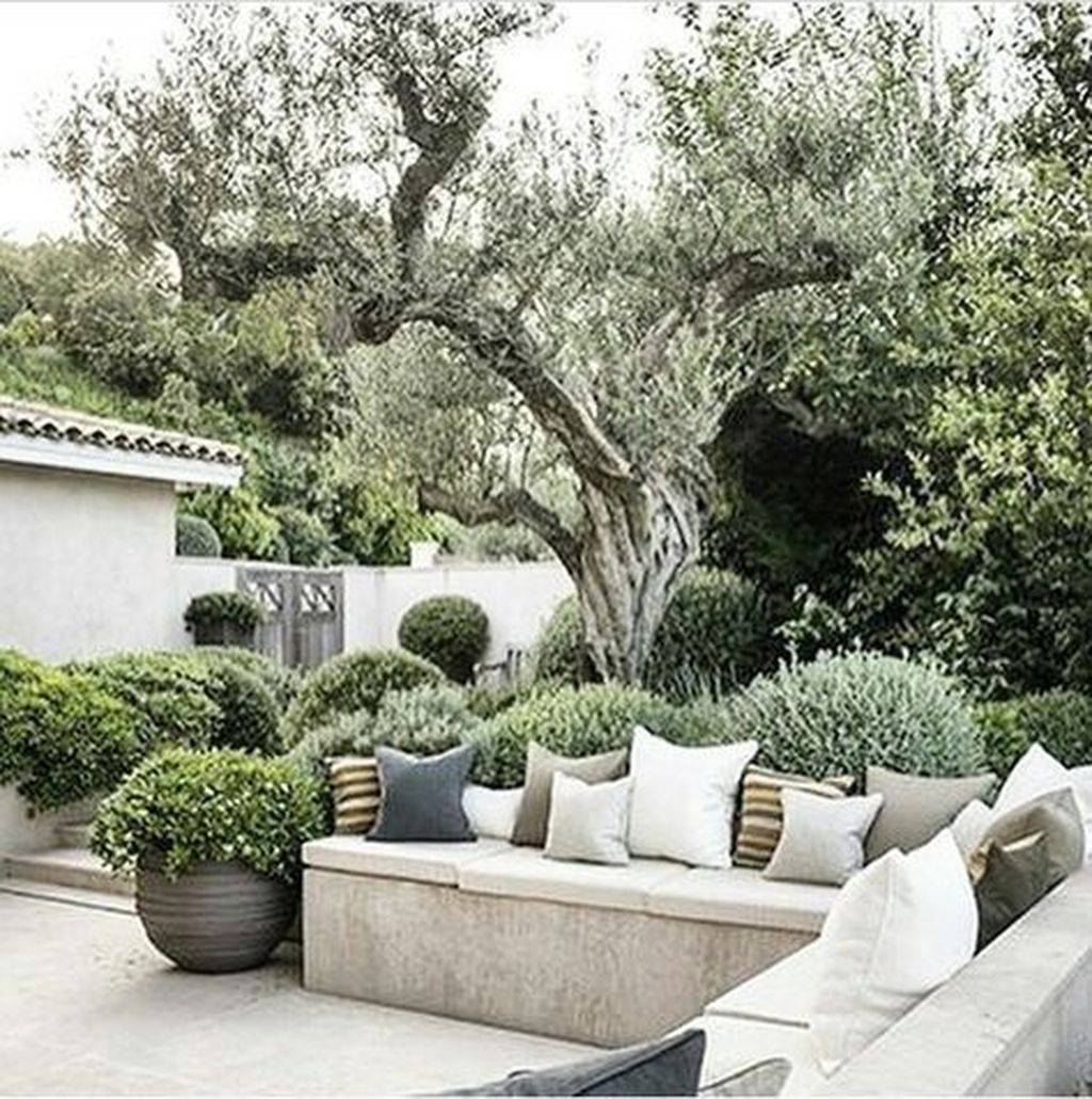 A Blissful Garden