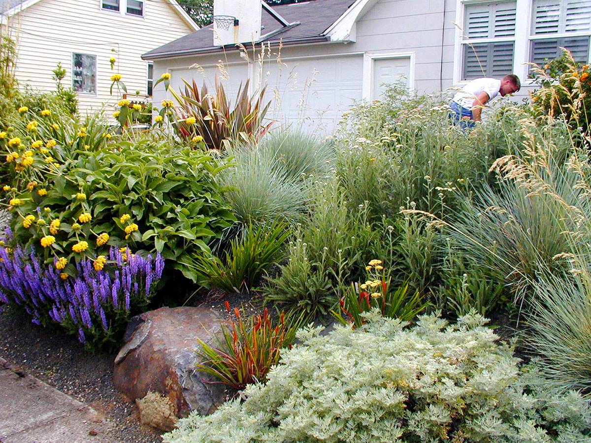 The Best Mediterranean Garden Design Ideas Mediterranean Garden