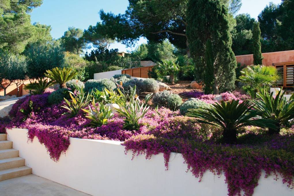 The Best Mediterranean Garden Design Ideas