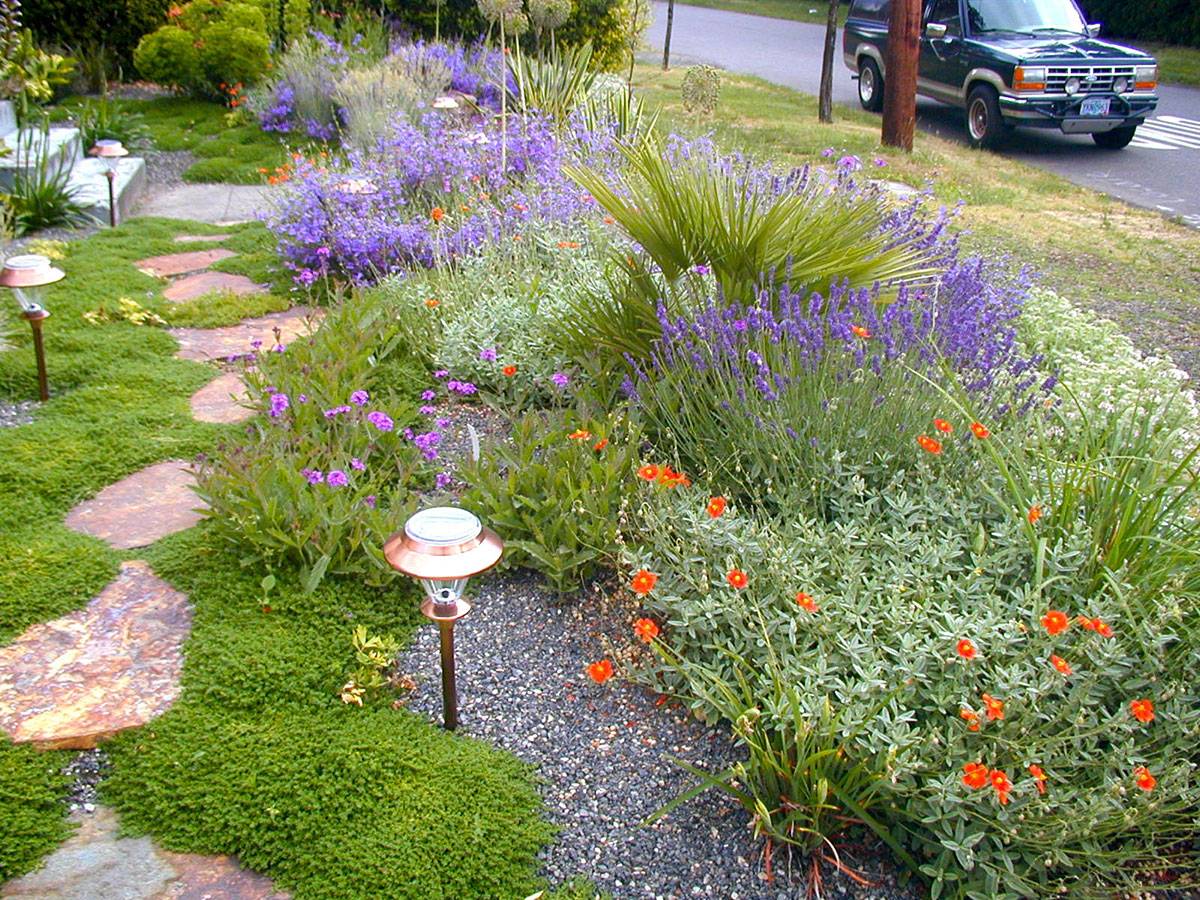 Modern Mediterranean Garden Landscaping Ideas