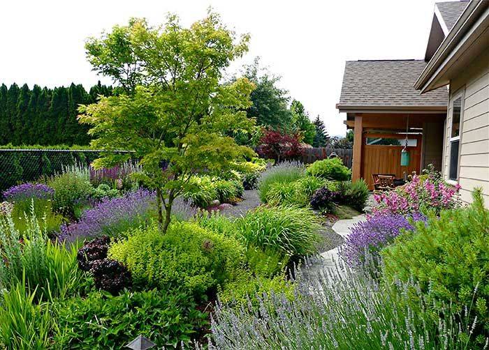Mediterranean Landscaping
