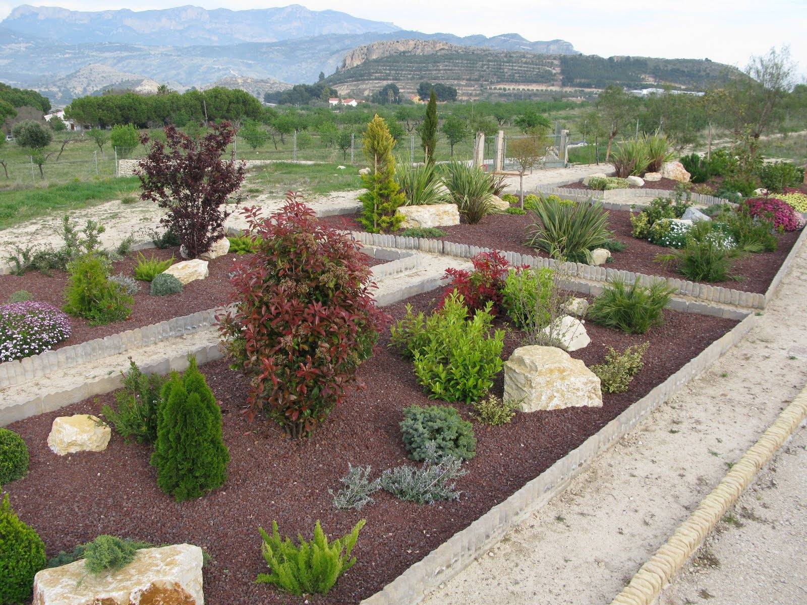 Mediterranean Landscaping