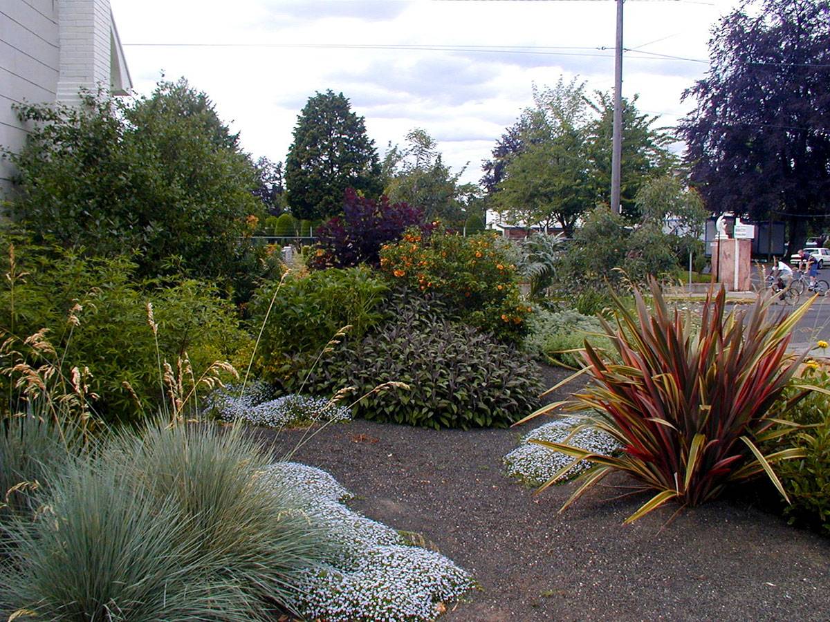 Mediterranean Rock Garden