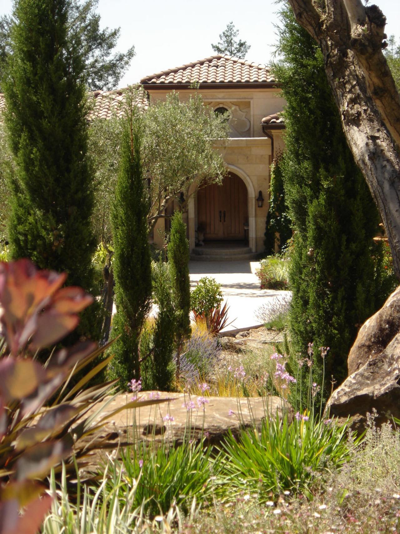 Mediterranean Garden Design