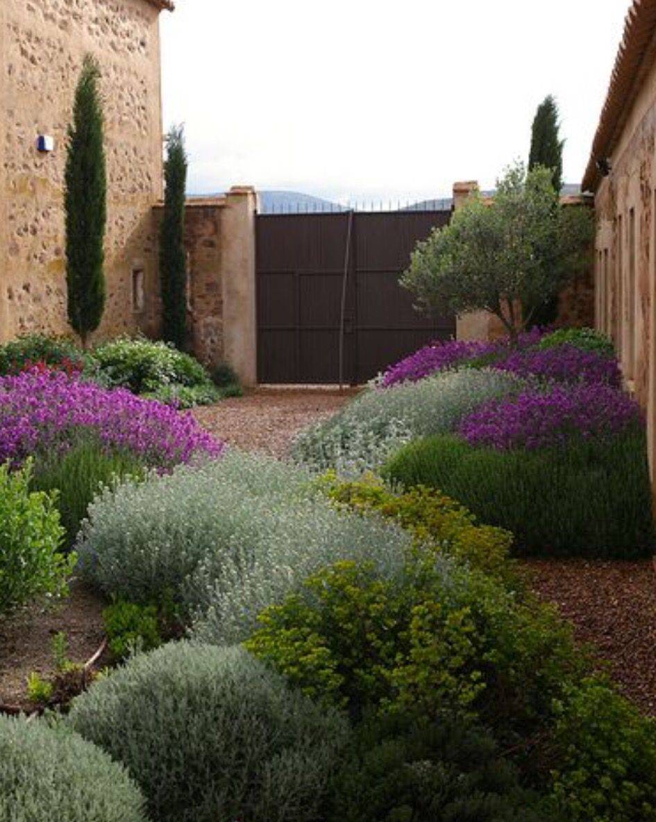 The Best Mediterranean Garden Design Ideas