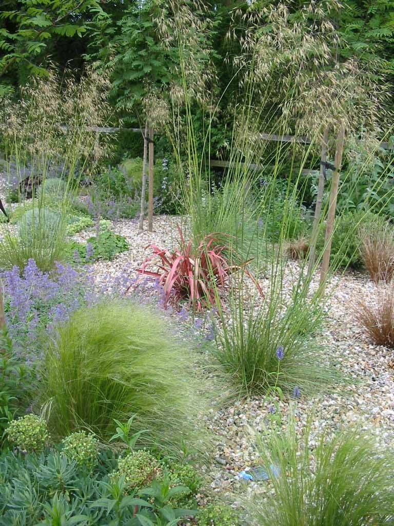 Amazing Desert Garden Landscaping Ideas