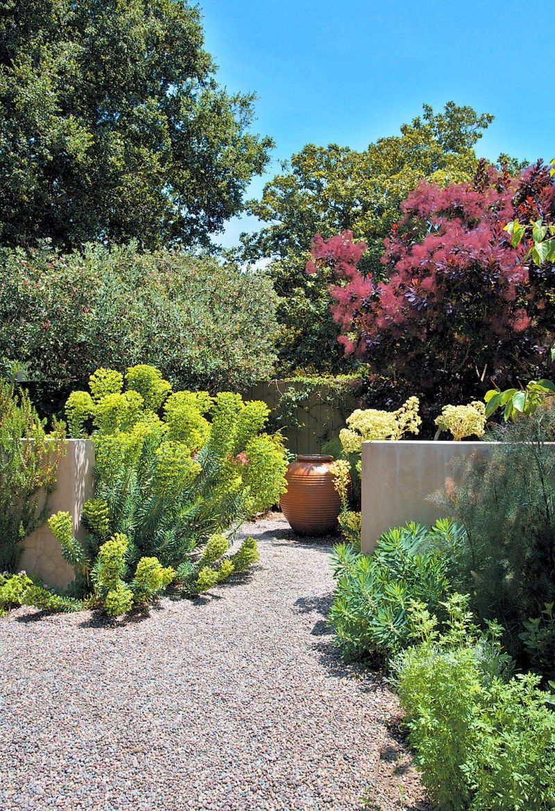 Sunny Dry Mediterranean Gravel Garden