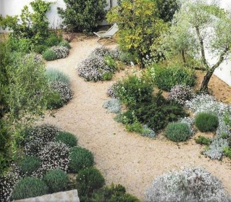 Small Xeriscape Cottage Garden Mediterranean Landscape London