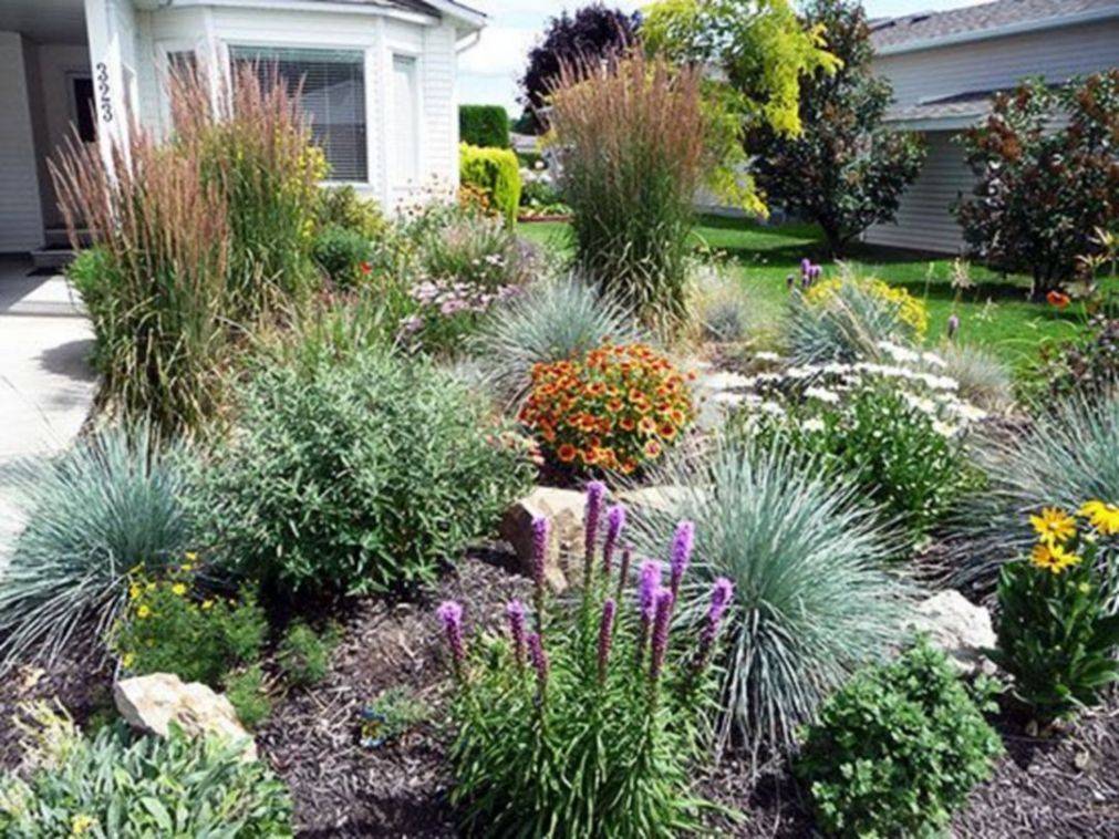 Popular Xeriscape Landscape Ideas