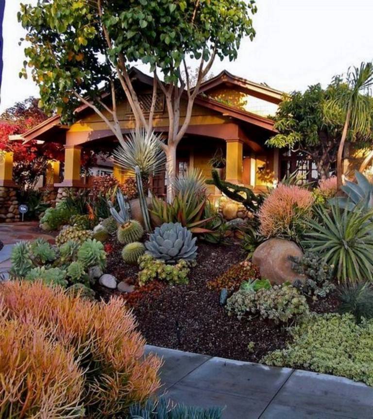 Xeriscape A Creative Landscaping Solution