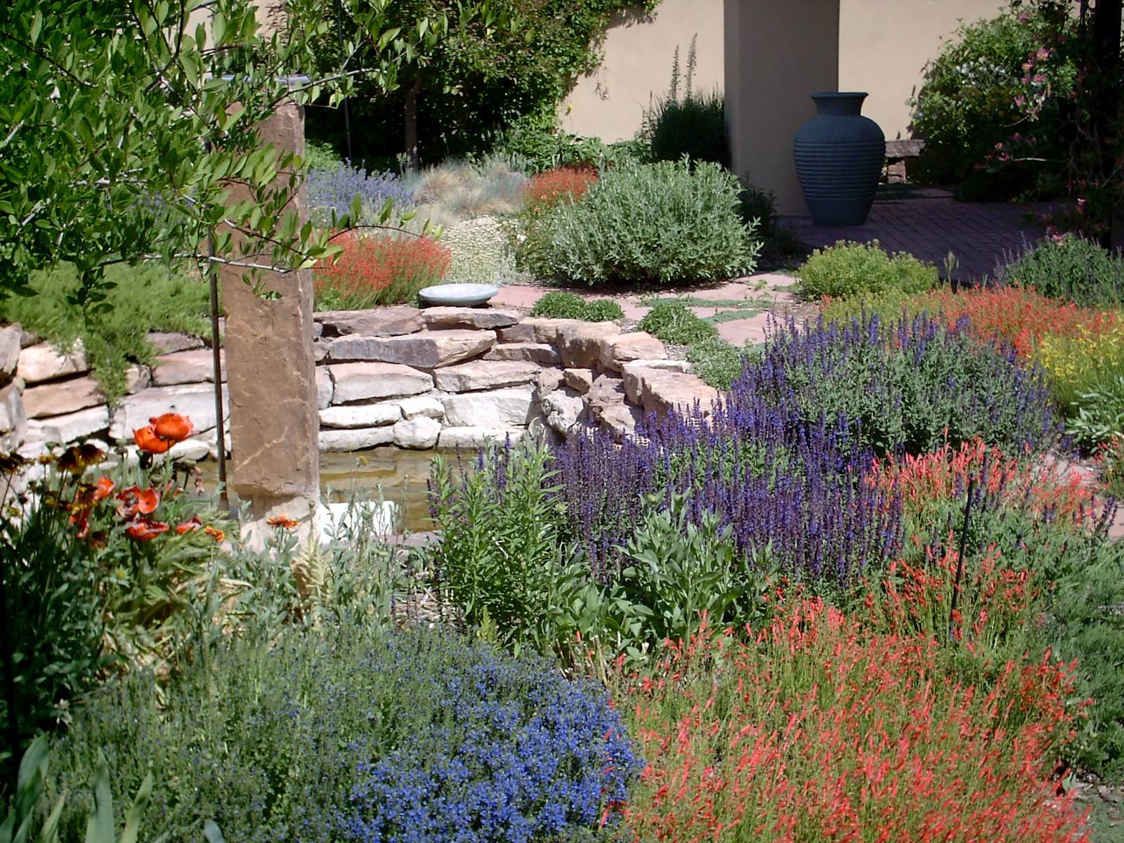 Front Yard Xeriscape Landscaping