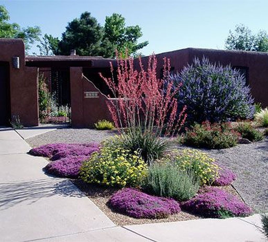 Small Backyard Xeriscape