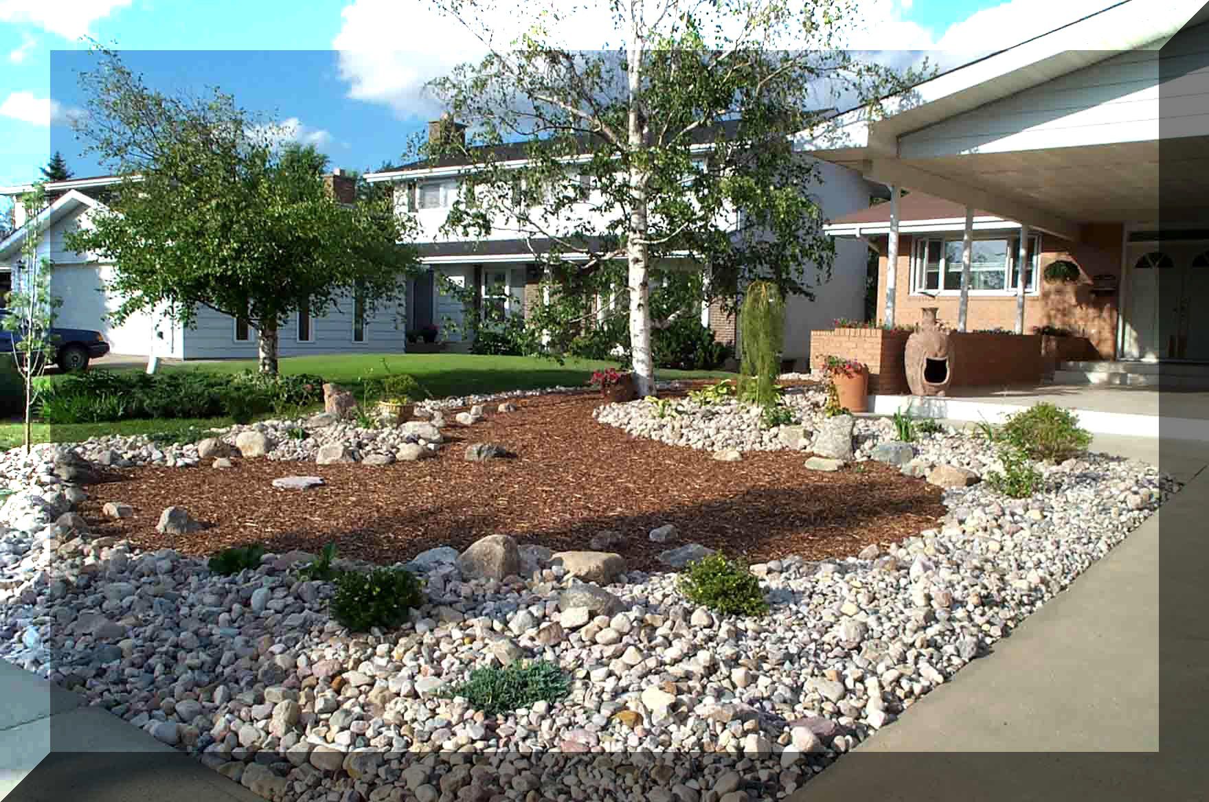 Xeriscape Backyard