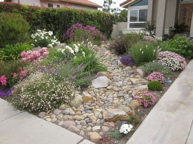 Xeriscaping Planting Plants Design Denver Boulder Colorado