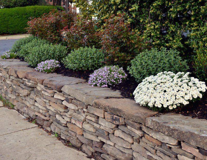 Garden Design Edging