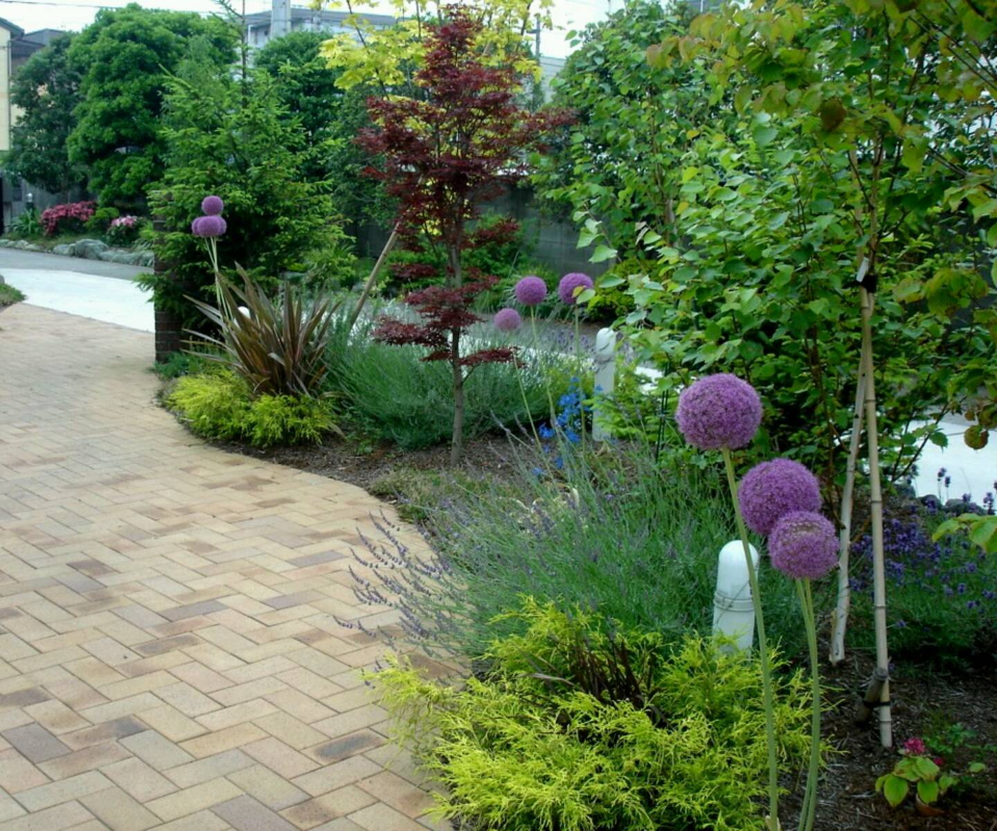 Backyard Landscaping Page