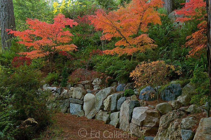 Grace Design Associates Inc Japanese Rock Garden