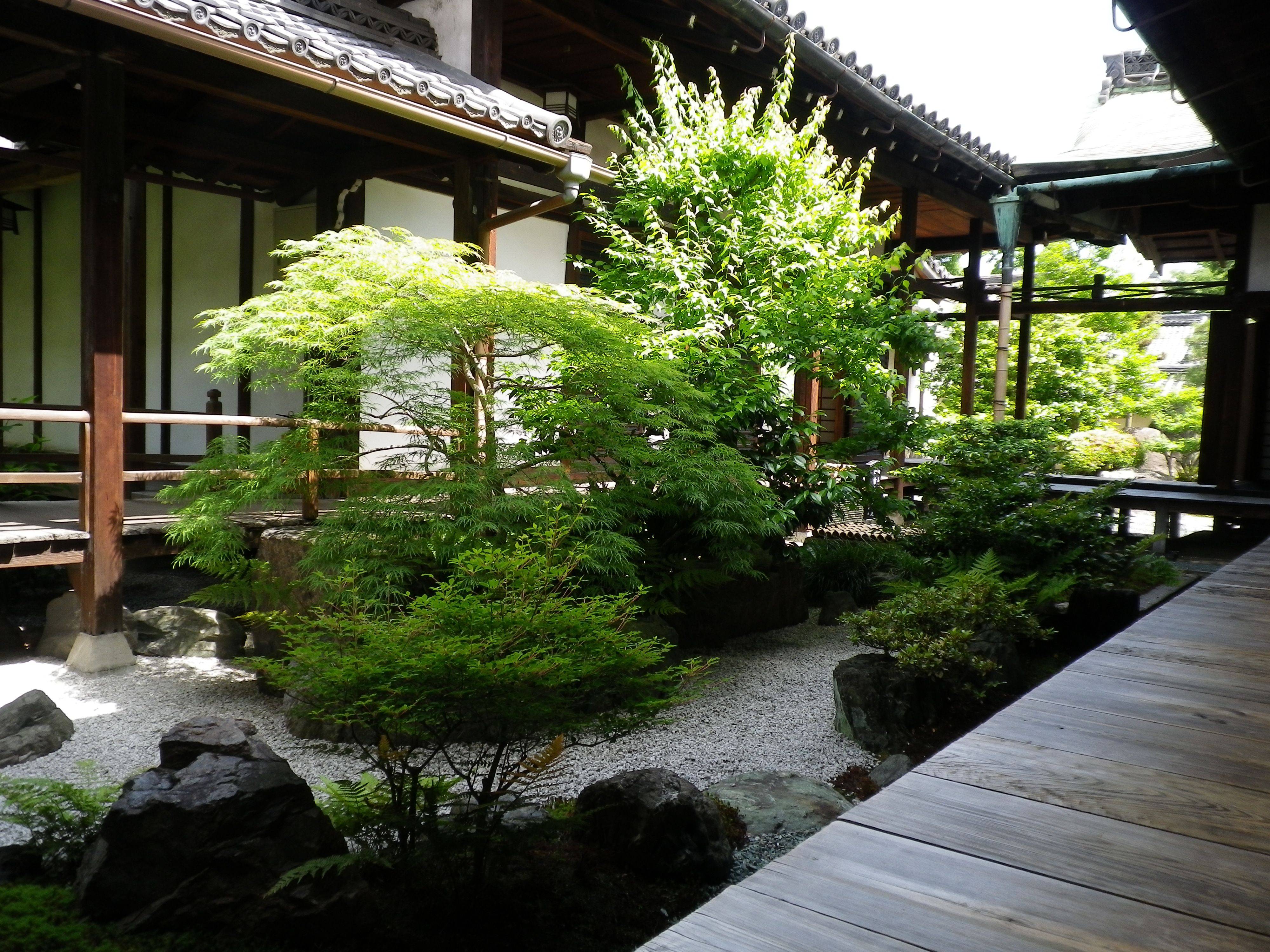 Japanese Maple Rock Garden