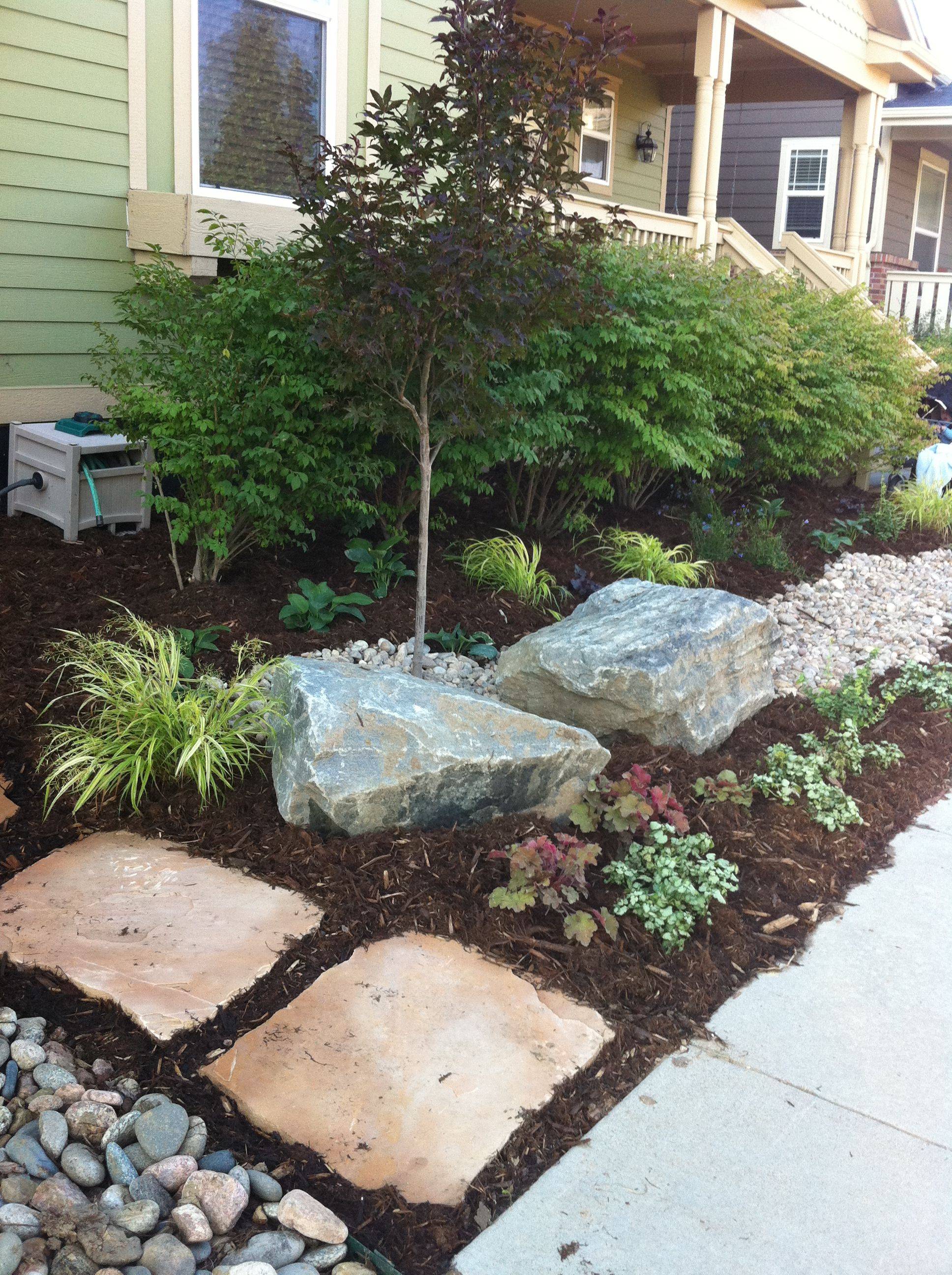 Japanese Maple Tree Landscaping Ideas