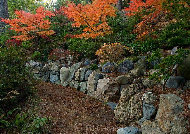 Landscaping Hillside