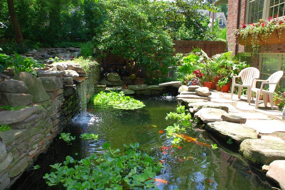Traditional Backyard Ponds House