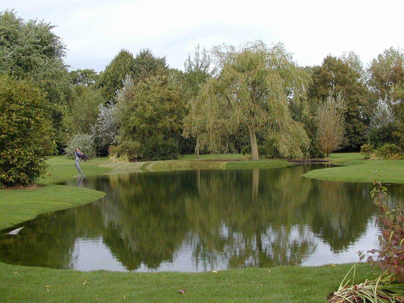 Backyard Pond Ideas