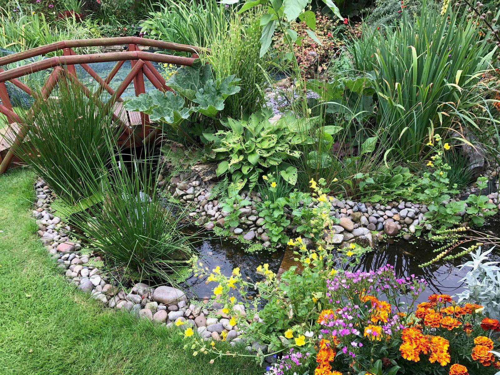 Cool Backyard Pond Design Ideas