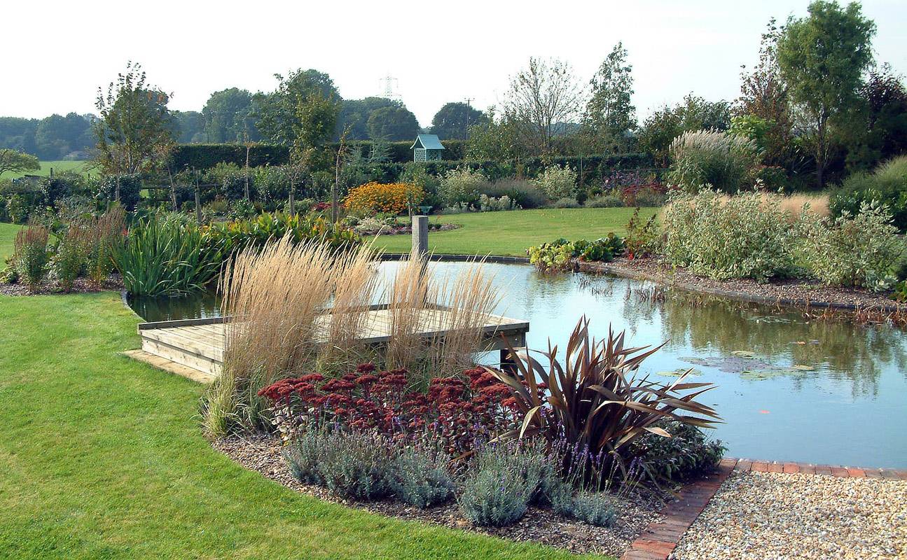 Beautiful Backyard Ponds