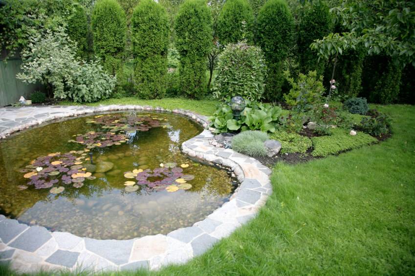 Cool Backyard Pond Design Ideas