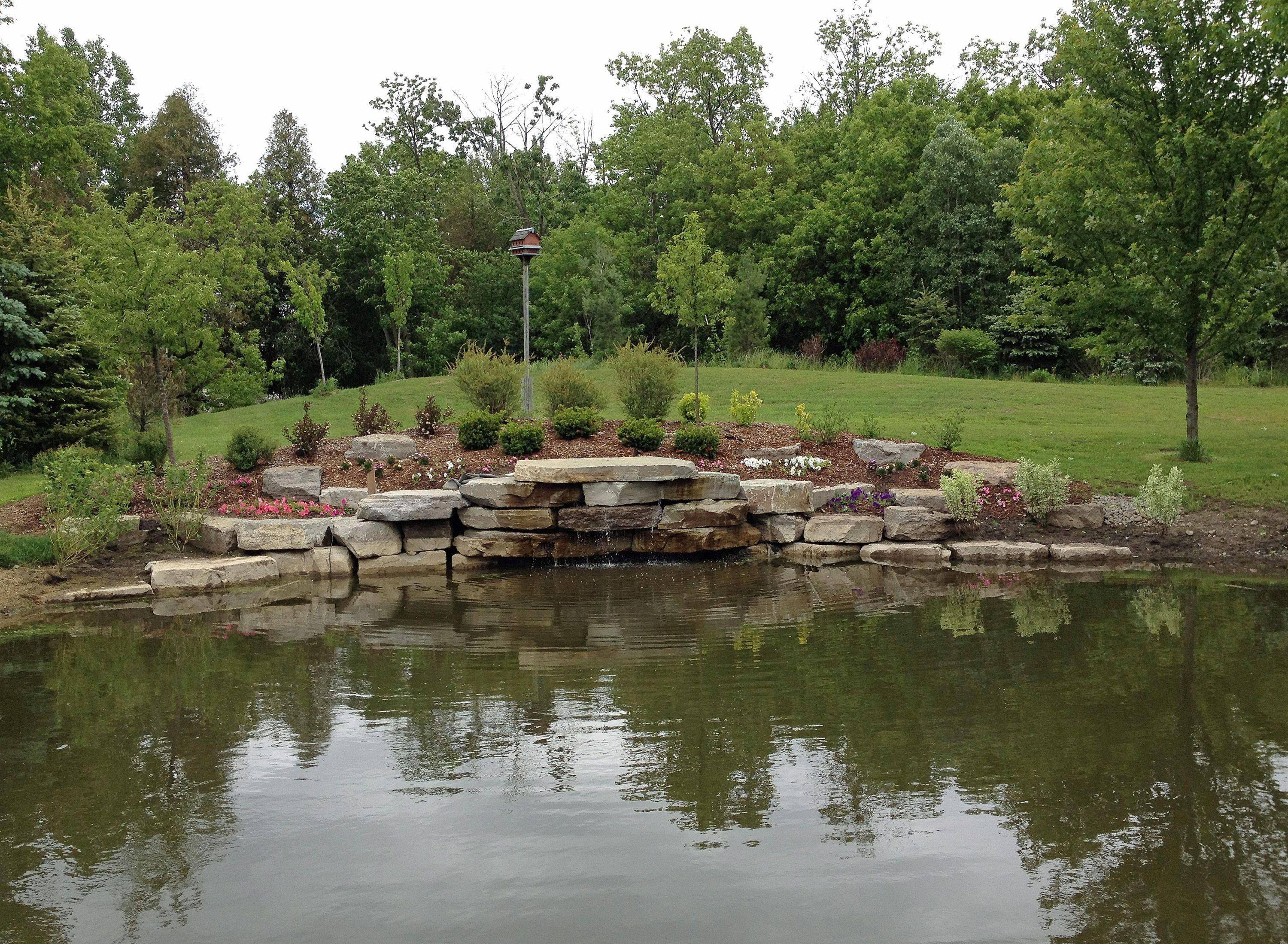 Fish Pond In Garden Backyard Design Ideas