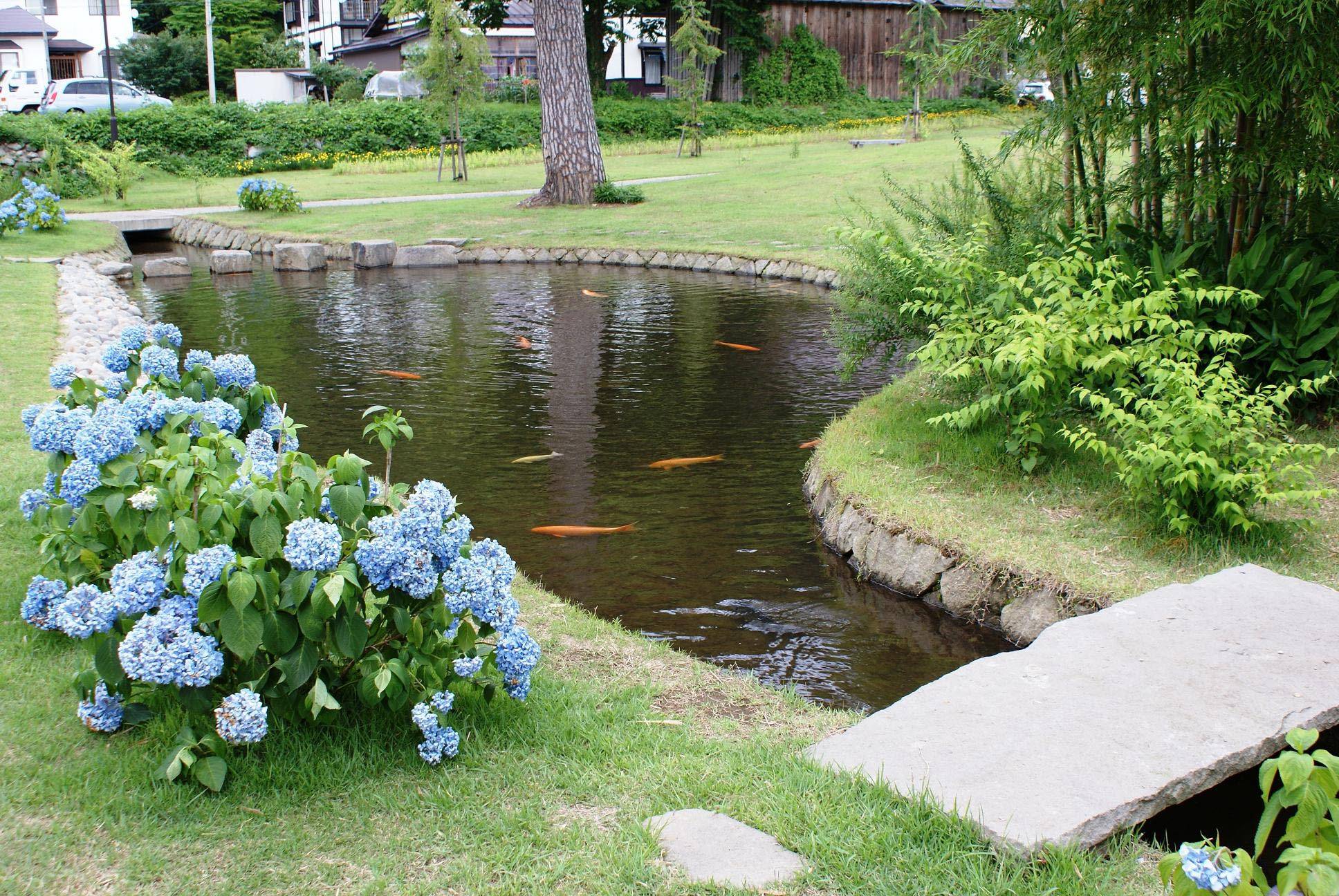 Large Ponds