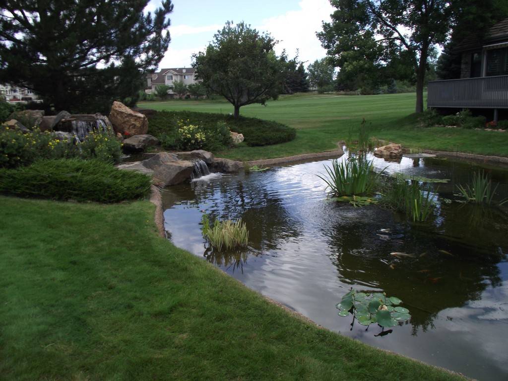 Pond Landscaping