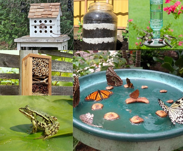 Wildlife Gardening