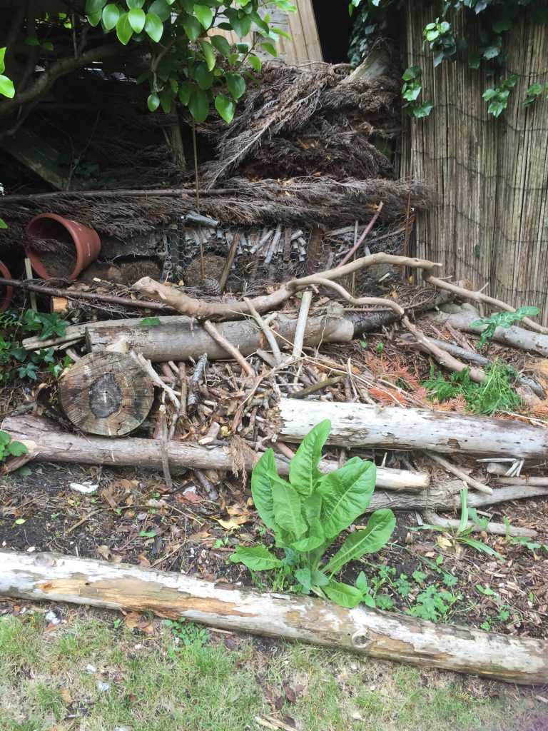 Wildlife Pond Ideas Six Beautiful Examples